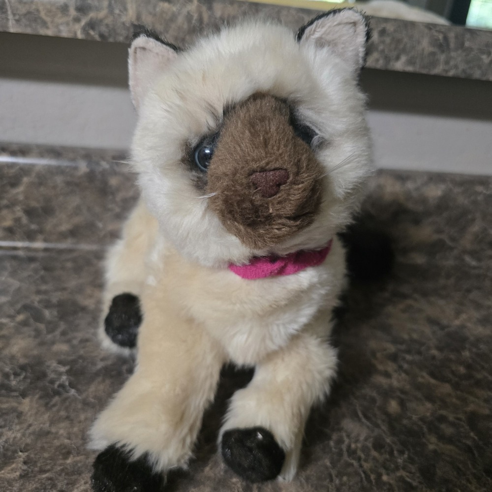 Douglas Tasha Himalayan Cat Plush #1824 Siamese 14" Retired 2012 Blue Eyes